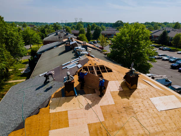 Trusted Roof Replacement service in Winburne, PA - Brentwood Metal Roofing